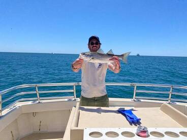 Montauk Report Photo 1
