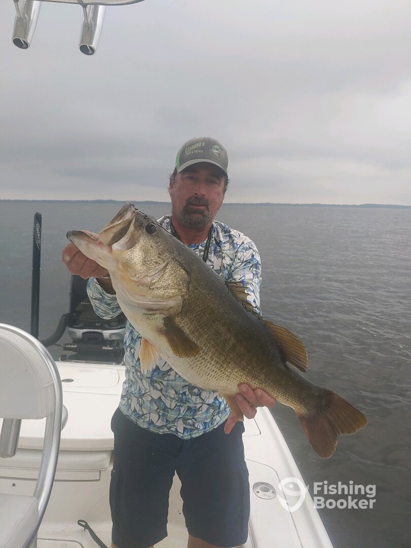Kissimmee Report Photo 0