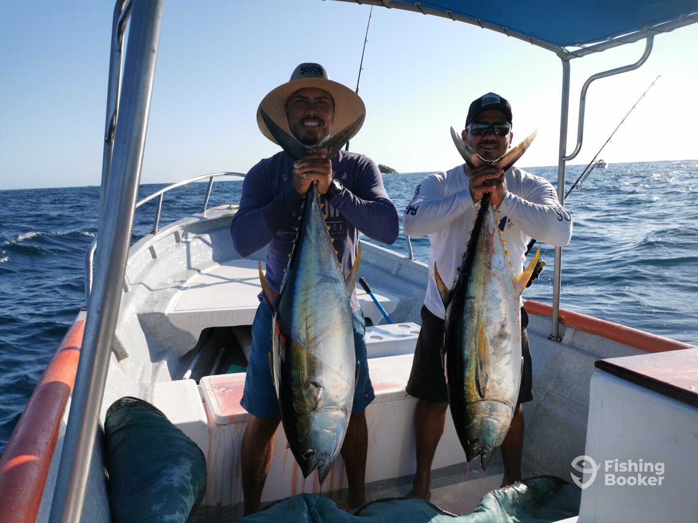 Punta Mita Report Photo 0