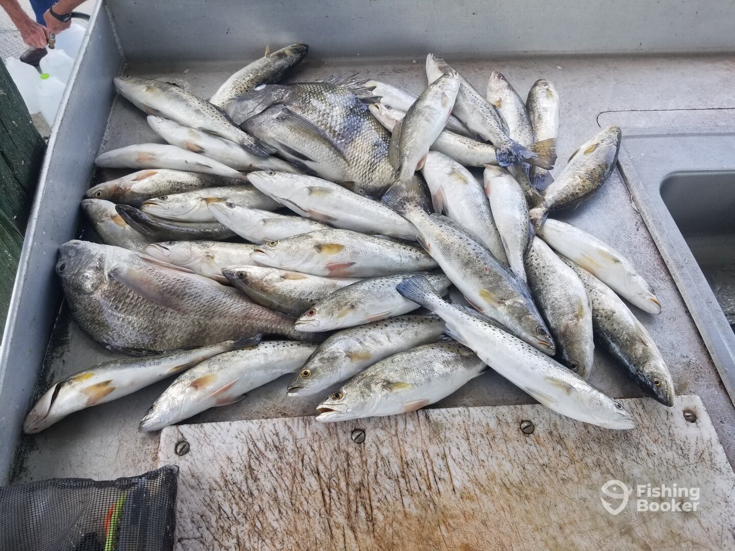 Sulphur Report Photo 0