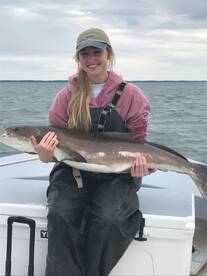 Cobia crazy