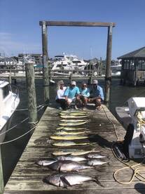 Ocracoke Report Photo 2