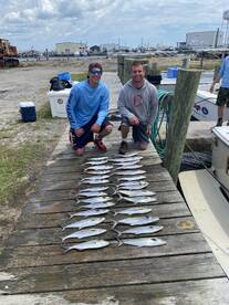 Great Spanish Mackeral Fishing Today