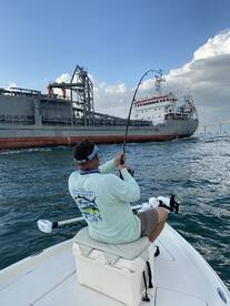 Tarpon In The Shipping Channel