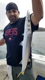 Dana Point Report Photo 2