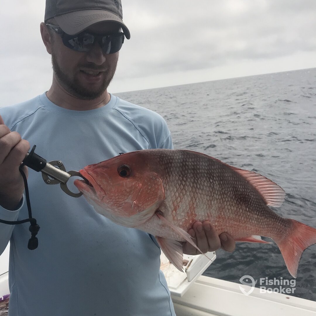 Belleair Bluffs Report Photo 0