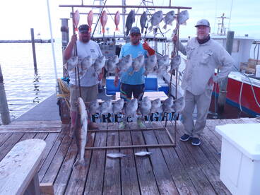 May 26 All Day Light Tackle Bottom Fishing