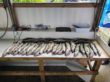 Lake Erie- Bolles Harbor area is on fire