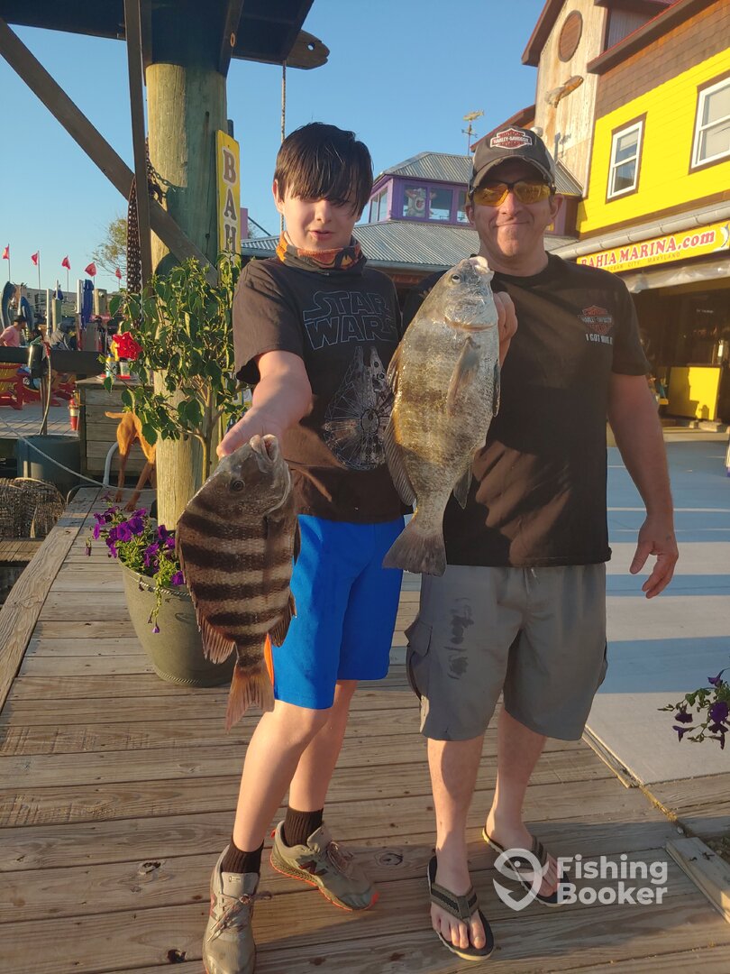 Ocean City Report Photo 0