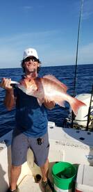 Apalachicola Report Photo 1