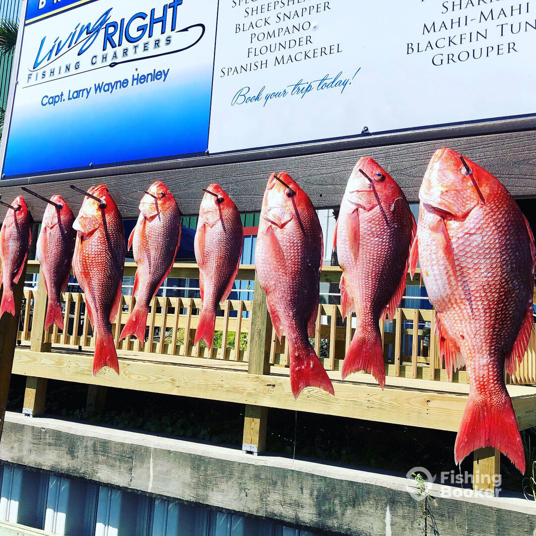 Destin Report Photo 0