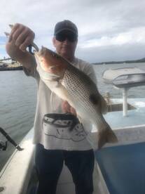 Cairns Report Photo 2