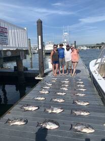 Virginia Beach Report Photo 1