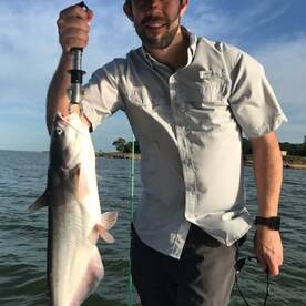 Grapevine Report Photo 1