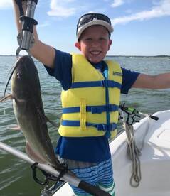 Grapevine Report Photo 2