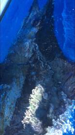 Maputo Report Photo 4