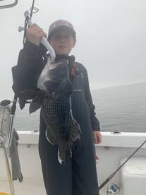 Dennis Report Photo 1