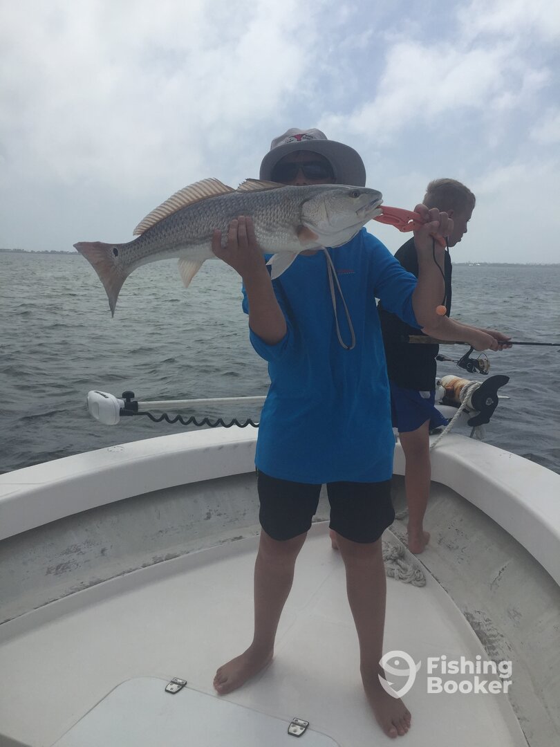 Port St. Joe Report Photo 0