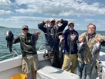 Dennis Report Photo 2