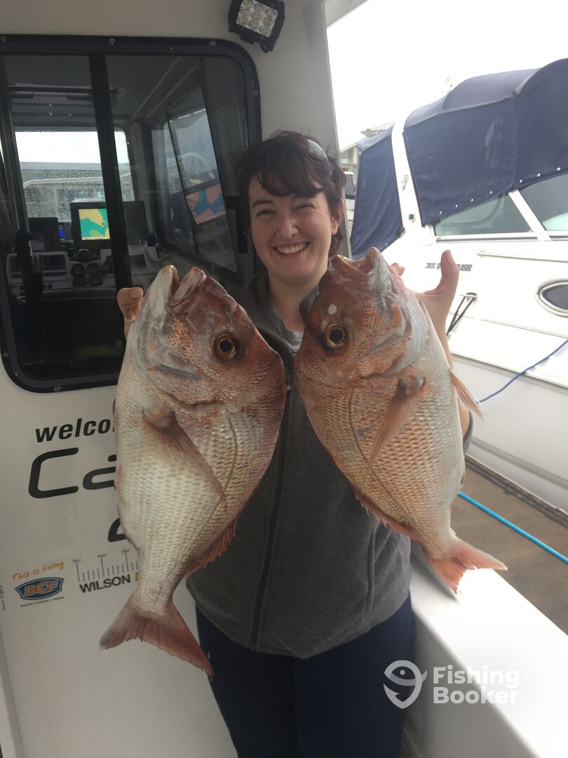 Tewantin Report Photo 0