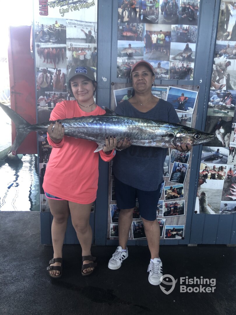 Galveston Report Photo 0