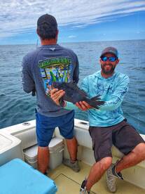 Sea Bass are chewing 