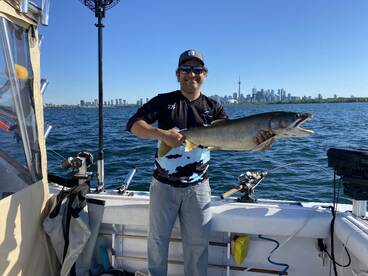 Toronto Report Photo 1