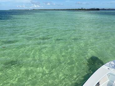 Big Pine Key Report Photo 1