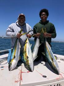 Catalina Yellowtail!