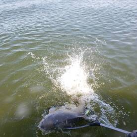 West Tawakoni Report Photo 2