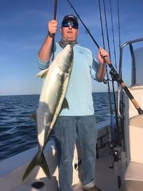 Yellowtail at Catalina!!