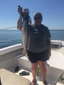 Port St. Joe Report Photo 2