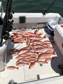 Another good day on the water