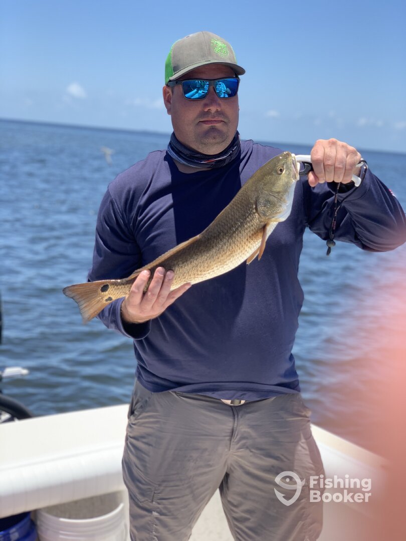 Bradenton Report Photo 0