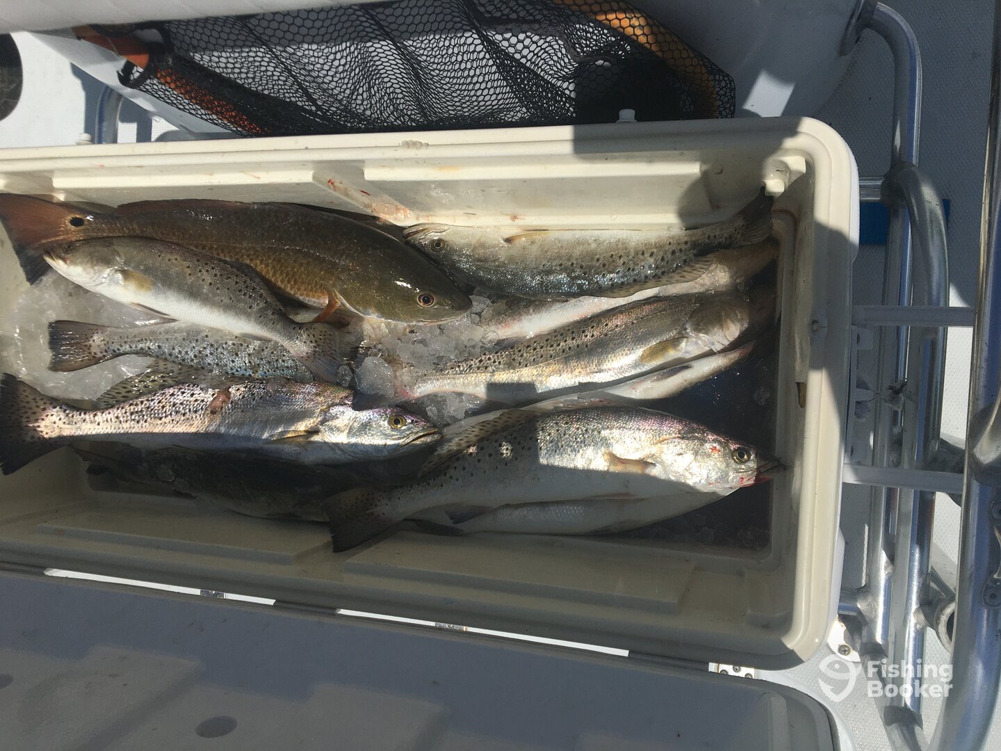 Port O'Connor Report Photo 0