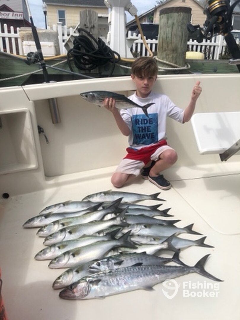 Ocean City Report Photo 0