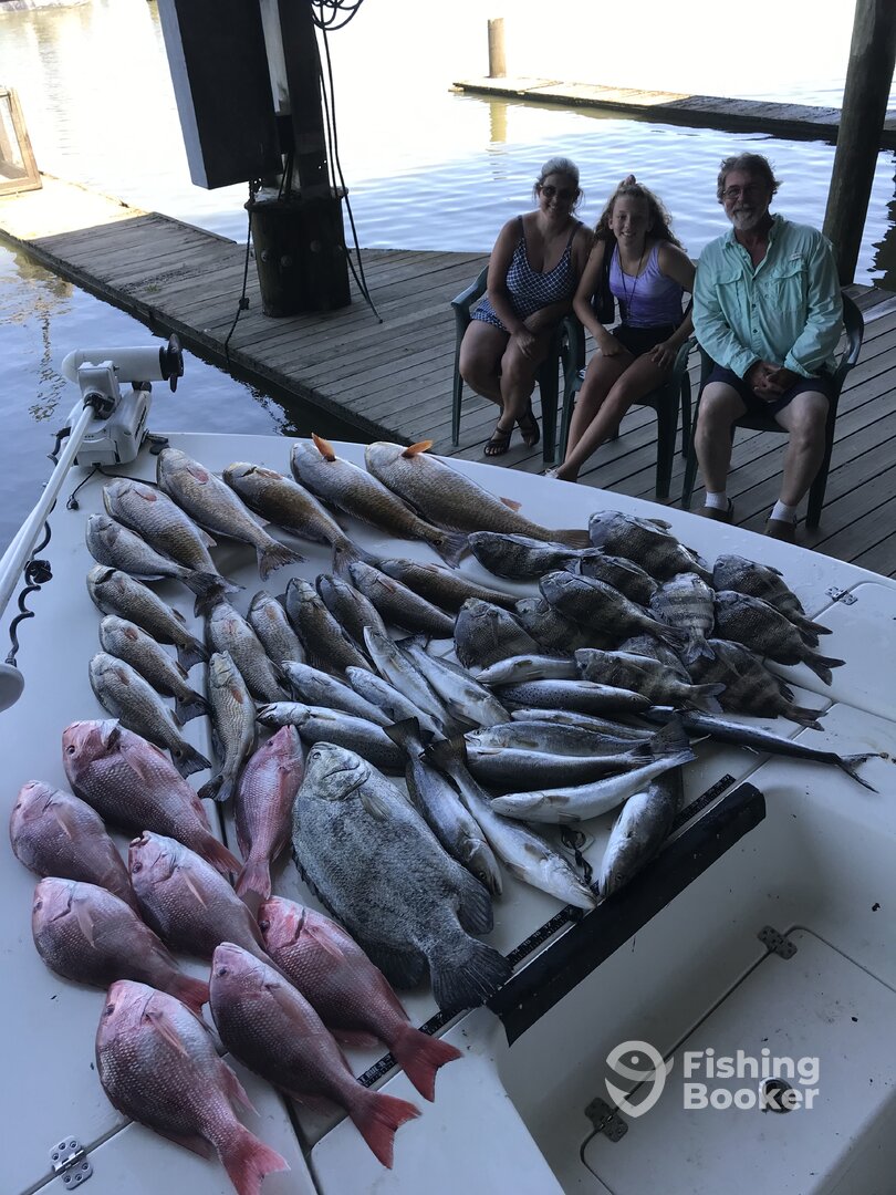 Venice Report Photo 0