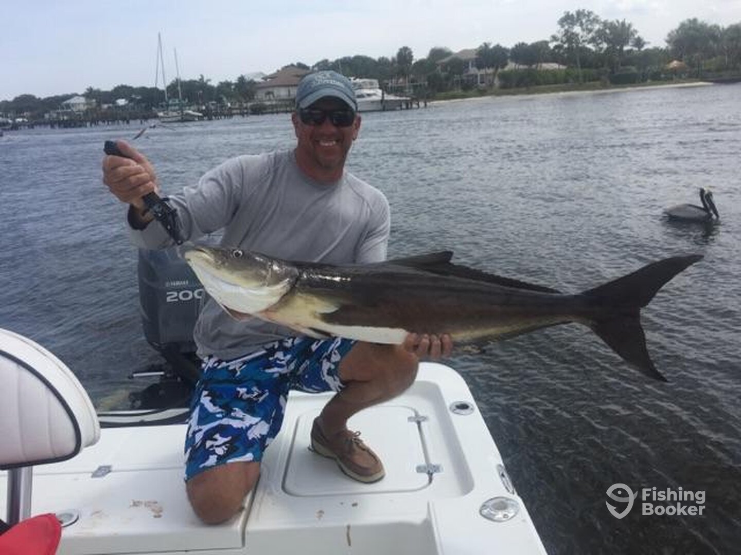 Stuart Report Photo 0