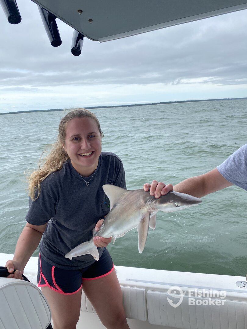 Cape Charles Report Photo 0