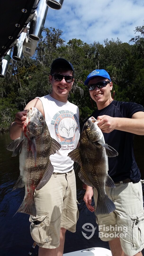 Port Orange Report Photo 0