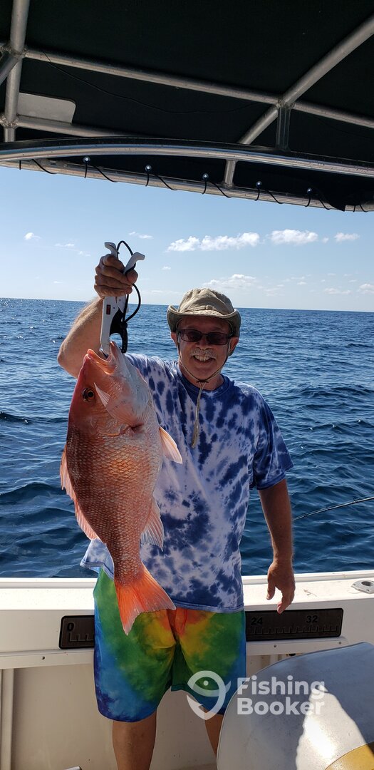 Apalachicola Report Photo 0