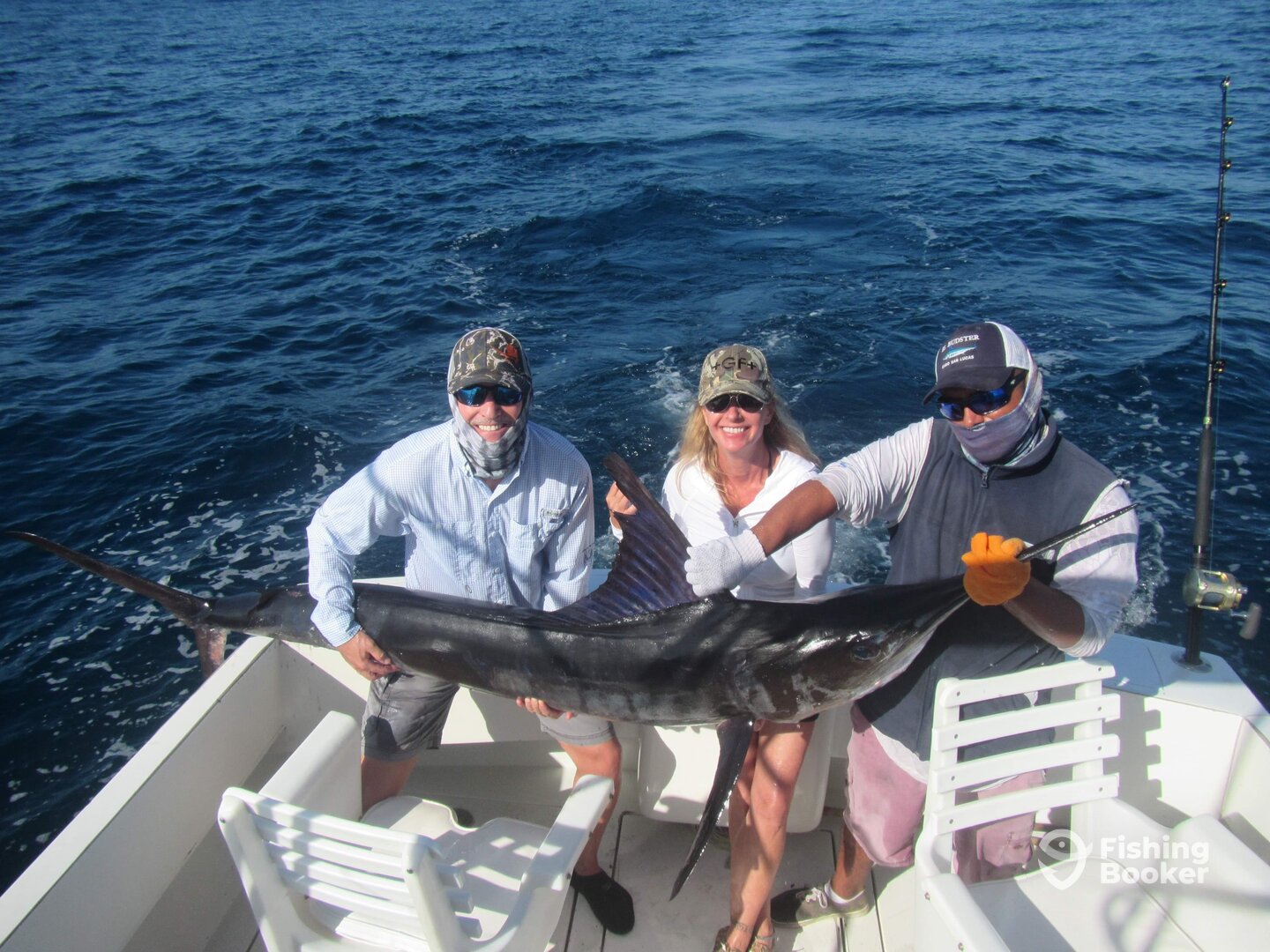 Cabo San Lucas Report Photo 0