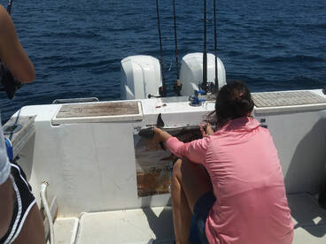 Niceville Report Photo 2