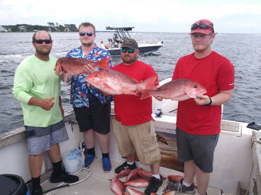 8 hour Snapper trip