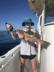 Belleair Bluffs Report Photo 1