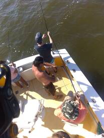 Wanchese Report Photo 1