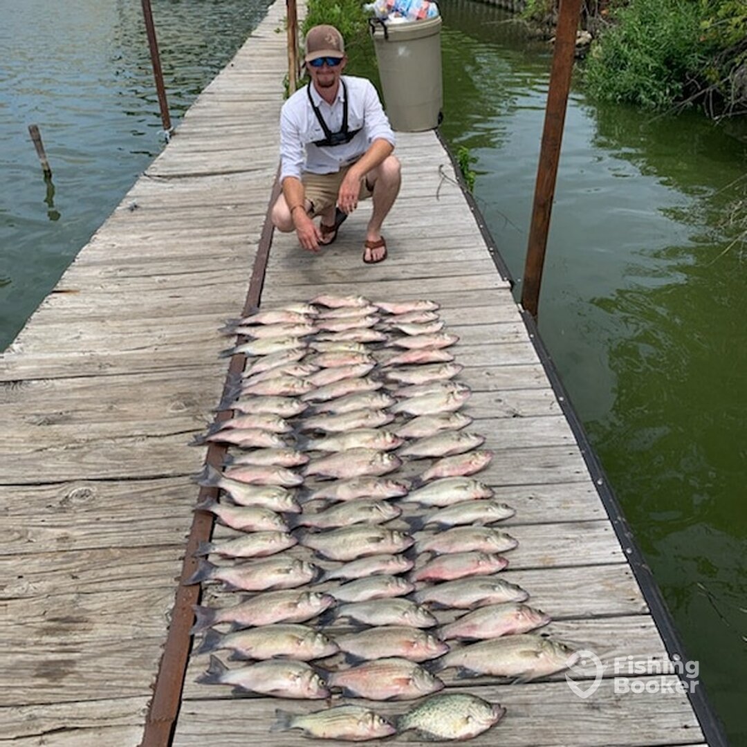 West Tawakoni Report Photo 0