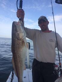 Venice Report Photo 2