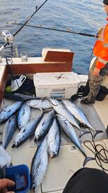 Zadar Report Photo 1