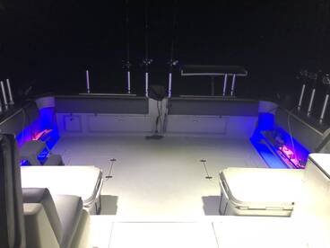 Lake Erie Walleye with Fishmasters 